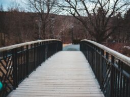 Frank Meza- Path to Recovery