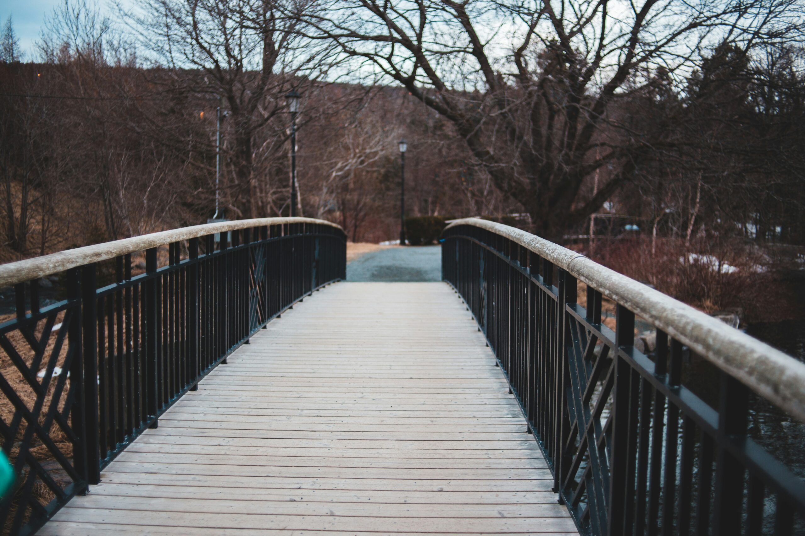 Frank Meza- Path to Recovery