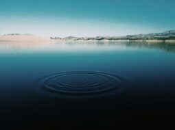 Ripple Effect of Service